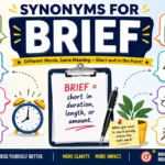 synonyms for brief