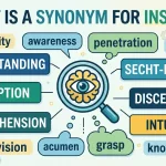 what is a synonym for insight